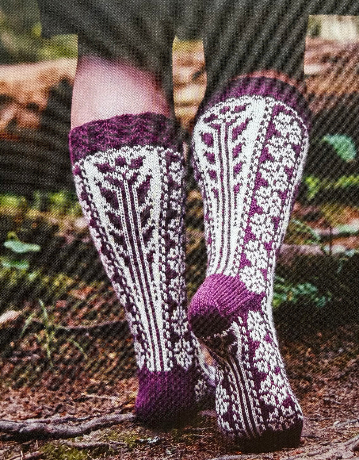 Nordic Animal Socks -pattern book